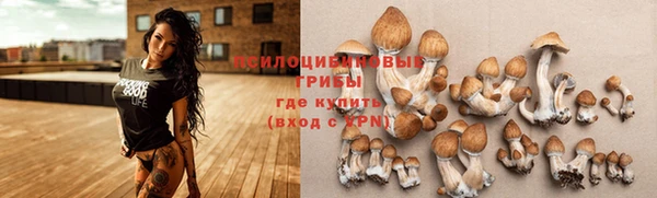 ешки Карпинск