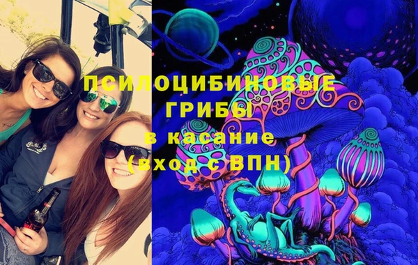 ешки Карпинск