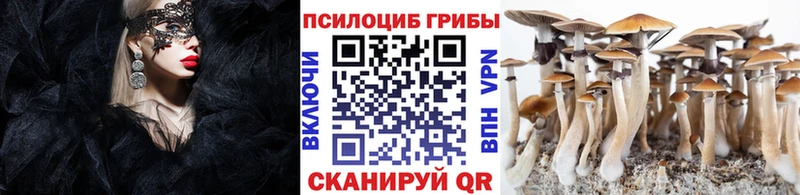 Купить закладки  Змеиногорск  Галлюциногенные грибы ЛСД 